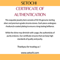 Silver Celestial Mother of Pearl Earrings