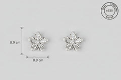 925 Sterling Silver Studs & Earrings Combo