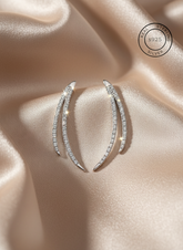 Silver Dazzling Zircon studs