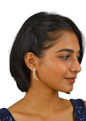 Silver Dazzling Zircon studs